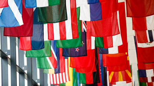 Flags from various countries